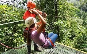 Zipline Canopy Tour